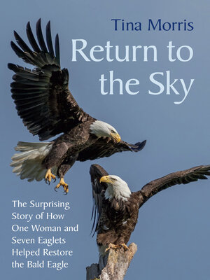 cover image of Return to the Sky